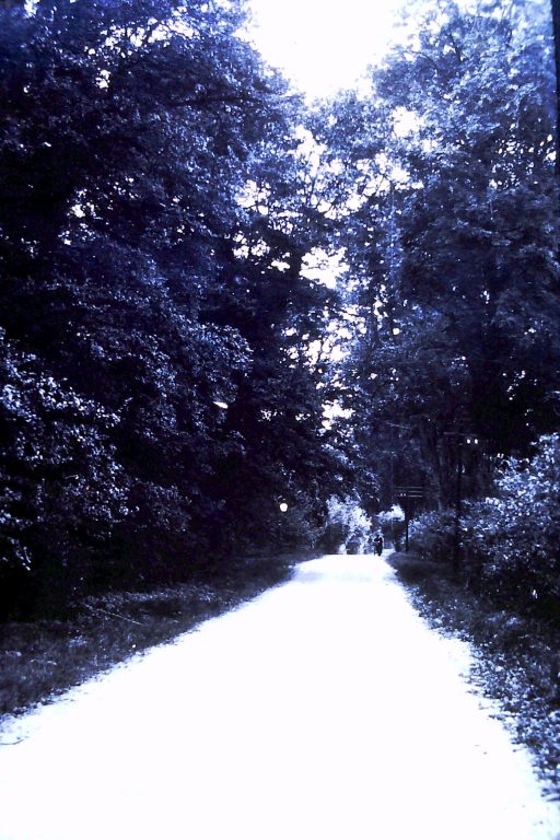 View up Baker's Hill View up Baker's Hill | Copyright Mickleton Community Archive